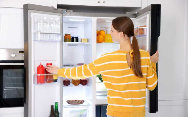 Frozen vs fresh meals: which is right for you?