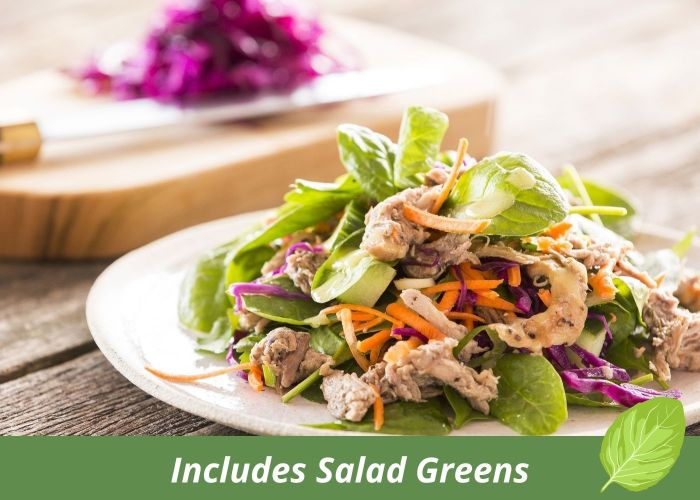 Pulled pork + red cabbage salad